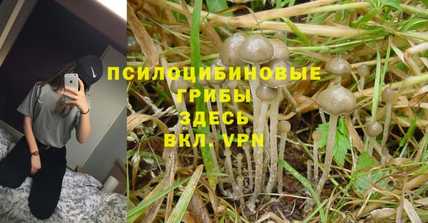 гашишное масло Алзамай