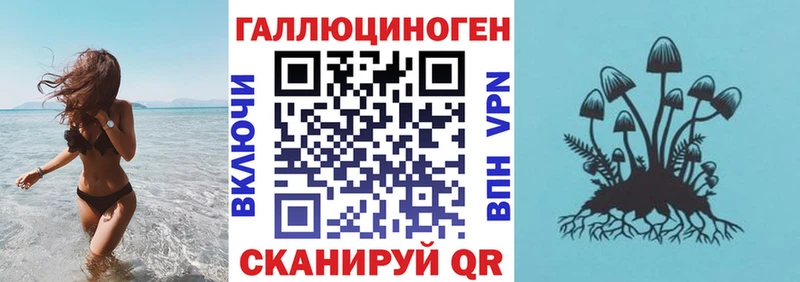 где купить наркотик  Новая Ладога  Галлюциногенные грибы прущие грибы 