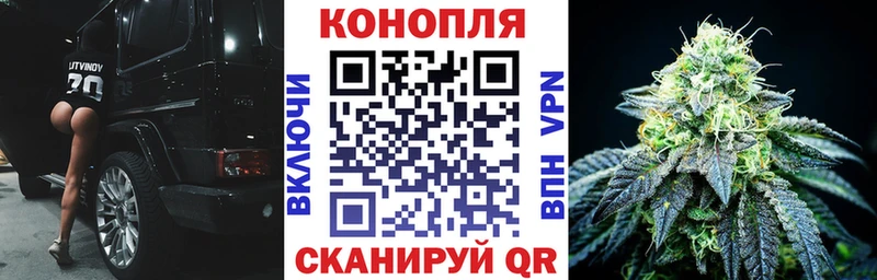 что такое наркотик  Новая Ладога  мега как войти  Канабис MAZAR 